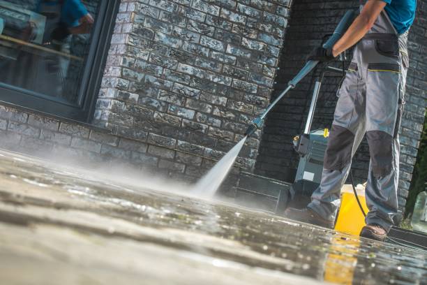 Best Animal Enclosure Cleaning  in Croton On Hudson, NY